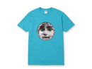SUPREME Know Your Rights Tee Teal