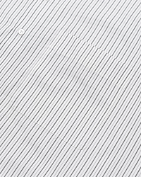 Oat Nakano Stripes White