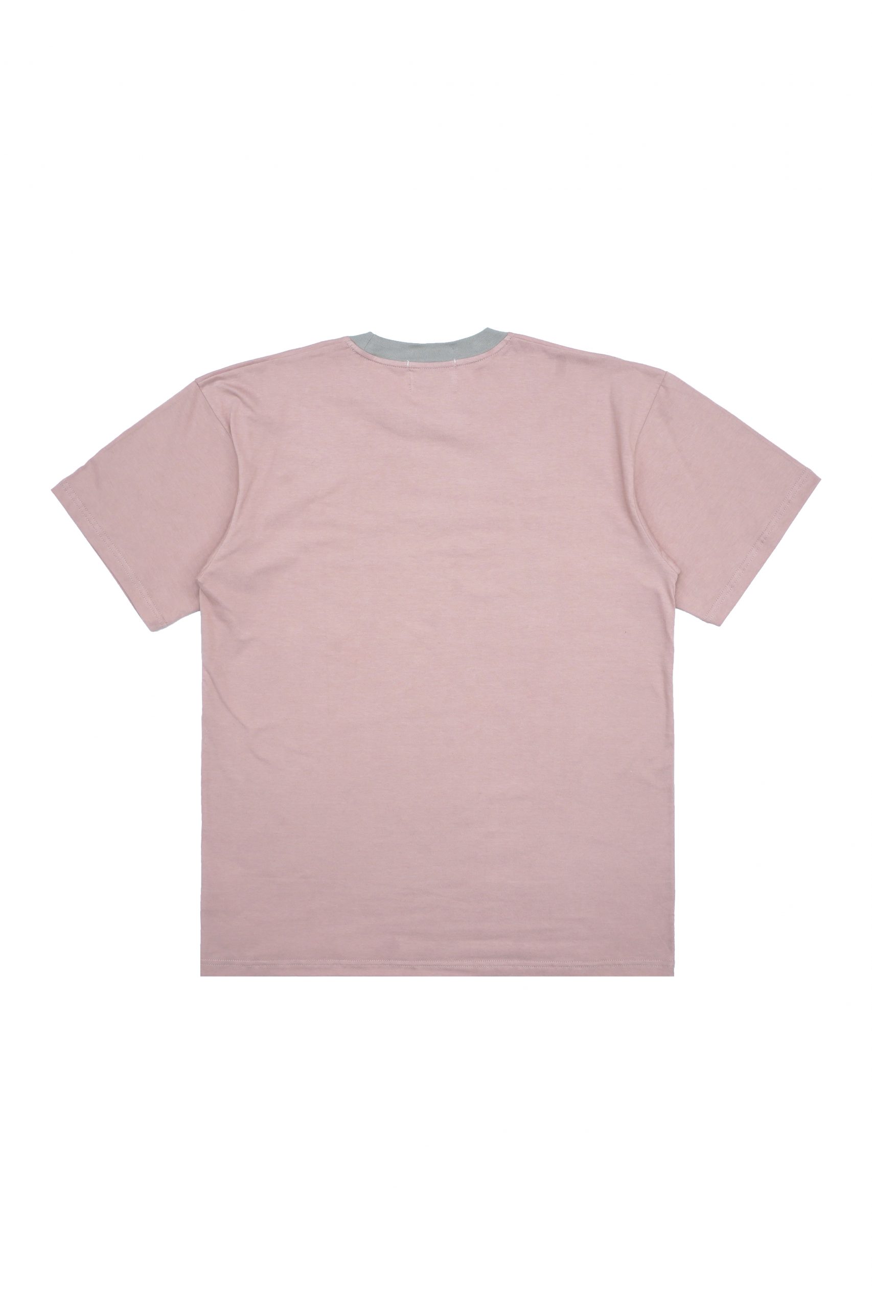 Rochelle Ribbed Boxy Tee Pale Dogwood – WORMHOLE STORE